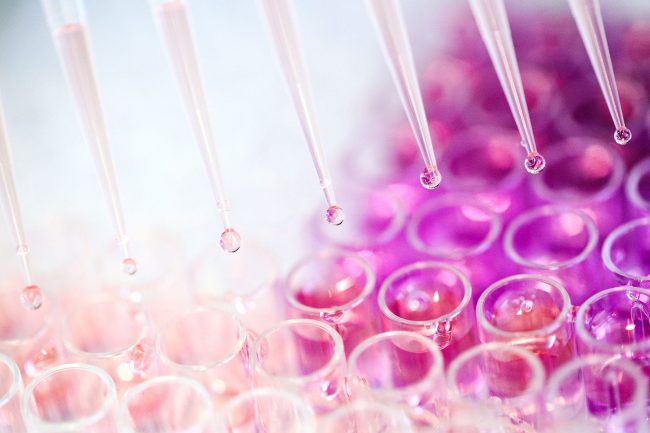 Z-Ilustracija05_manja-min