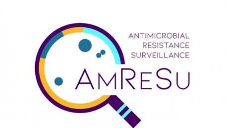 AmReSu logo